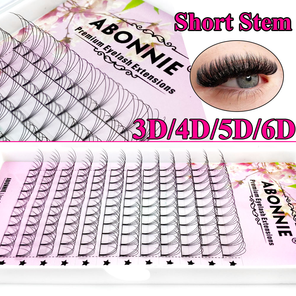 Abonnie 6D Narrow Fan Premade  - Eyelash Extension Russian recensione e prezzo